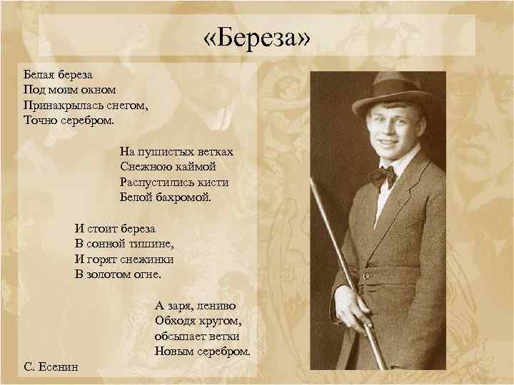  «Береза» Белая береза Под моим окном Принакрылась снегом, Точно серебром. На пушистых ветках