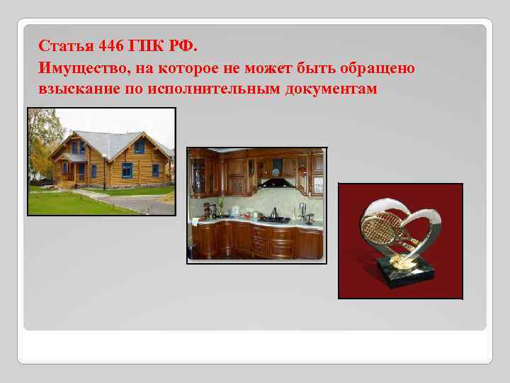 Статья 446 ГПК РФ. Имущество, на которое не может быть обращено взыскание по исполнительным