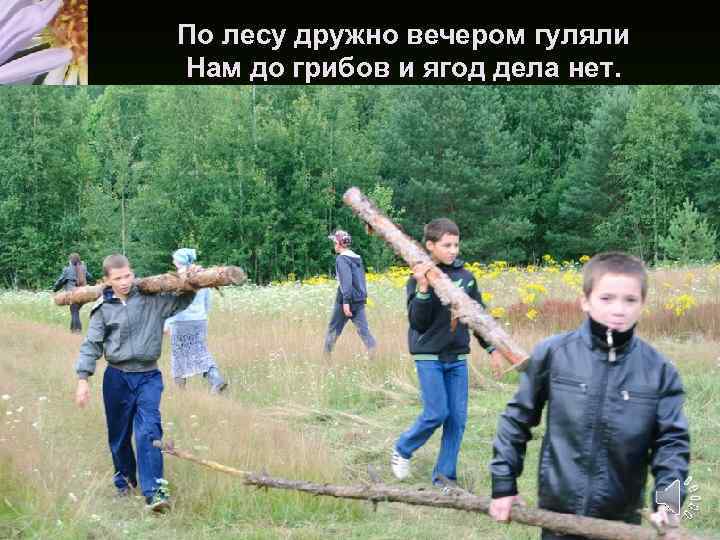 По лесу дружно вечером гуляли Нам до грибов и ягод дела нет. 