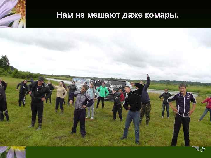 Нам не мешают даже комары. 