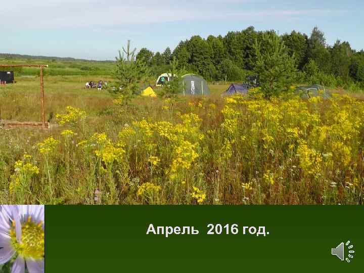 Апрель 2016 год. 