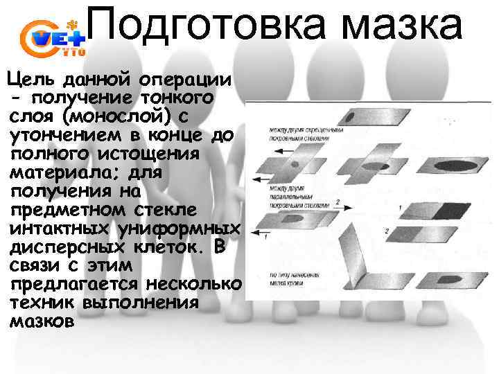  Подготовка мазка Цель данной операции - получение тонкого слоя (монослой) с утончением в