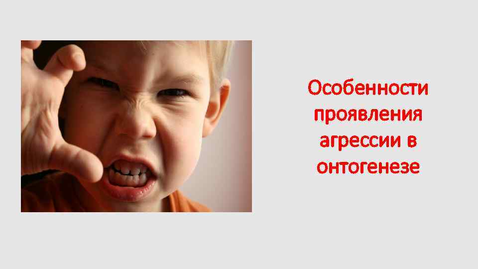 Особенности проявления агрессии в онтогенезе 