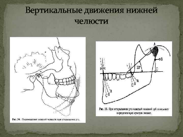 Движение нижней челюсти