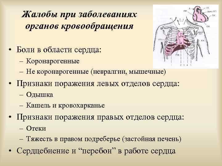 Невралгия сердца. Жалобы при заболеваниях органов кровообращения. Жалобы больных при заболеваниях органов кровообращения. Жалобы больного с заболеваниями сердечно-сосудистой системы. Боли в области сердца.