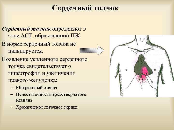 Область сердечного толчка