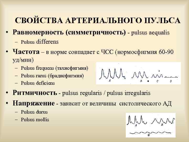 Артериальный пульс. Равномерность пульса. Свойства пульса равномерность. Ритмичность пульса. Pulsus differens.