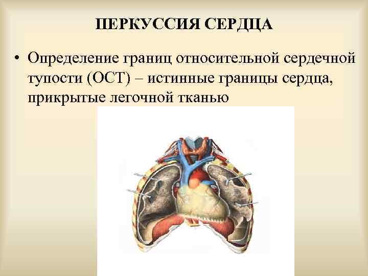 Широких сердец пограничная