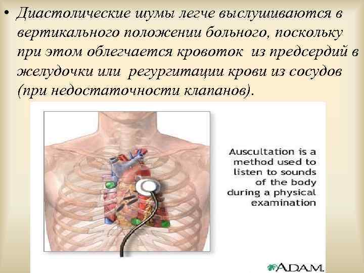  • Диастолические шумы легче выслушиваются в вертикального положении больного, поскольку при этом облегчается