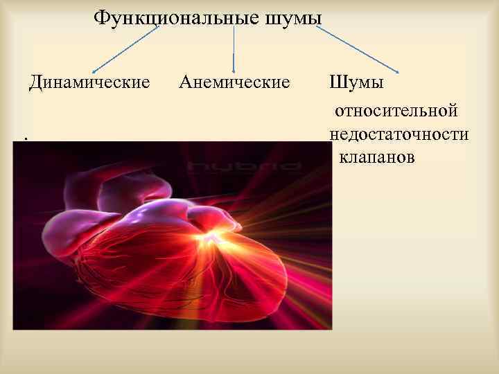 Функциональные шумы Динамические. . Анемические Шумы относительной недостаточности клапанов 