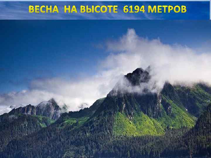 ВЕСНА НА ВЫСОТЕ 6194 МЕТРОВ ОСЕНЬ В БОТАНИЧЕСКОМ САДУ Гора Маккинли (Денали) (6194 м)