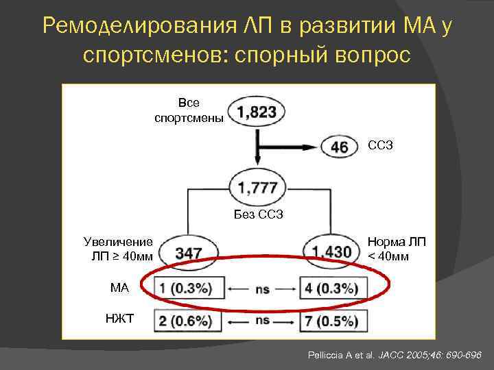 Ремоделирования ЛП в развитии МА у спортсменов: спорный вопрос Все спортсмены ССЗ Без ССЗ