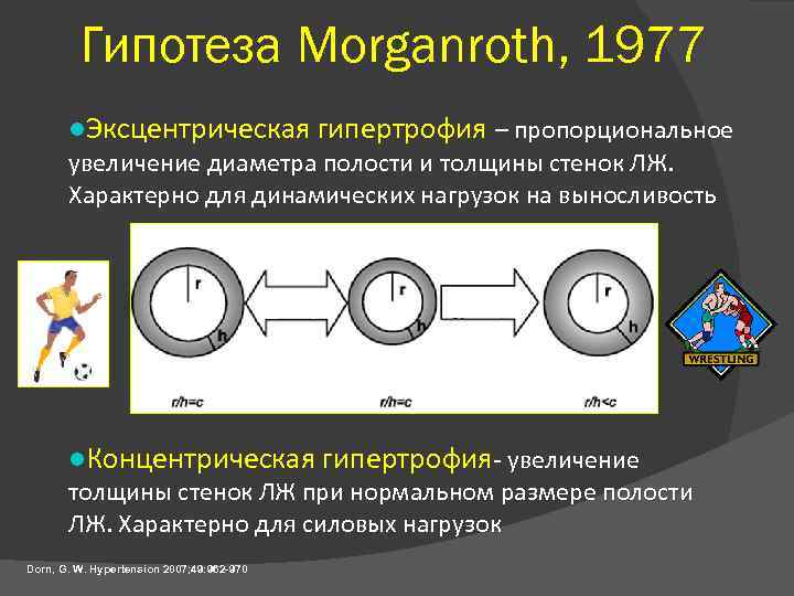 Гипотеза Morganroth, 1977 l. Эксцентрическая гипертрофия – пропорциональное увеличение диаметра полости и толщины стенок