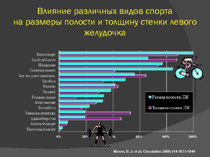 Влияние различных видов спорта на размеры полости и толщину стенки левого желудочка Maron, B.