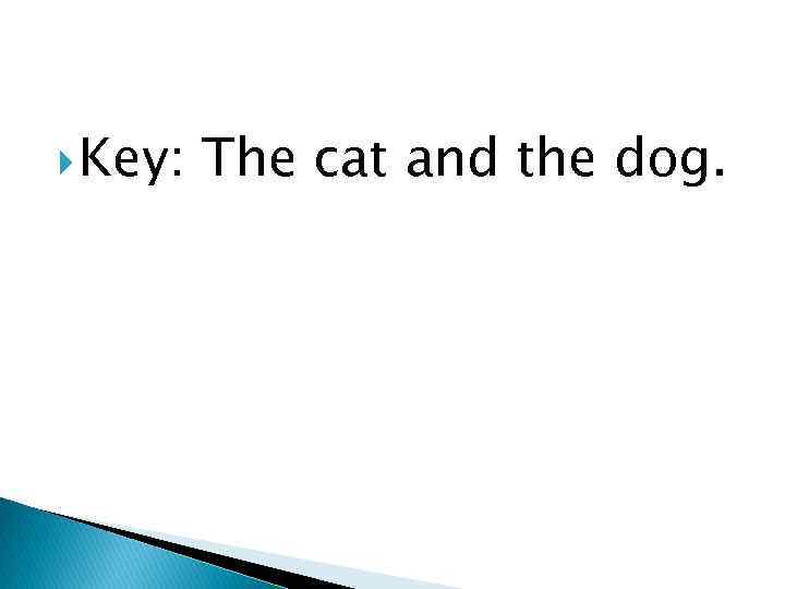  Key: The cat and the dog. 