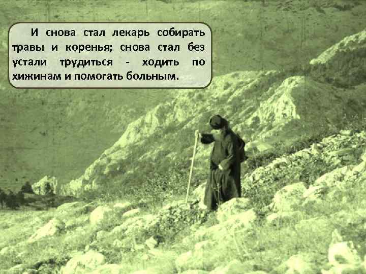 И снова стал лекарь собирать травы и коренья; снова стал без устали трудиться -