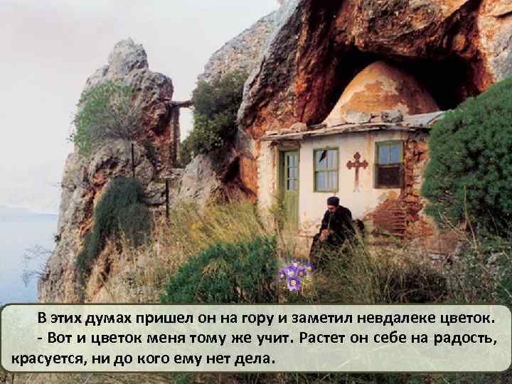 В этих думах пришел он на гору и заметил невдалеке цветок. - Вот и