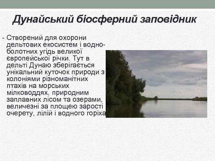 Дунайський біосферний заповідник - Створений для охорони дельтових екосистем і водноболотних угідь великої європейської