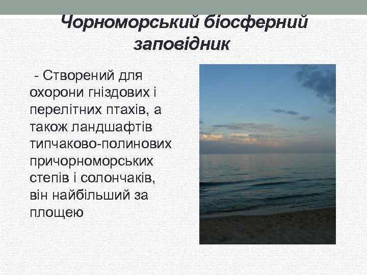 Чорноморський біосферний заповідник - Створений для охорони гніздових і перелітних птахів, а також ландшафтів