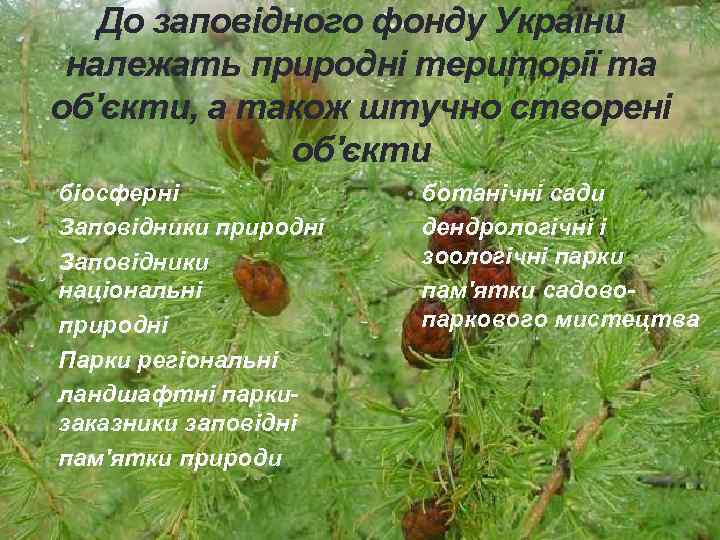 До заповідного фонду України належать природні території та об'єкти, а також штучно створені об'єкти