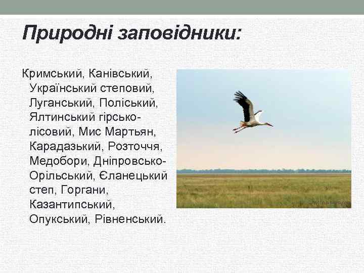 Природні заповідники: Кримський, Канівський, Український степовий, Луганський, Поліський, Ялтинський гірськолісовий, Мис Мартьян, Карадазький, Розточчя,