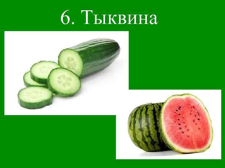 6. Тыквина 