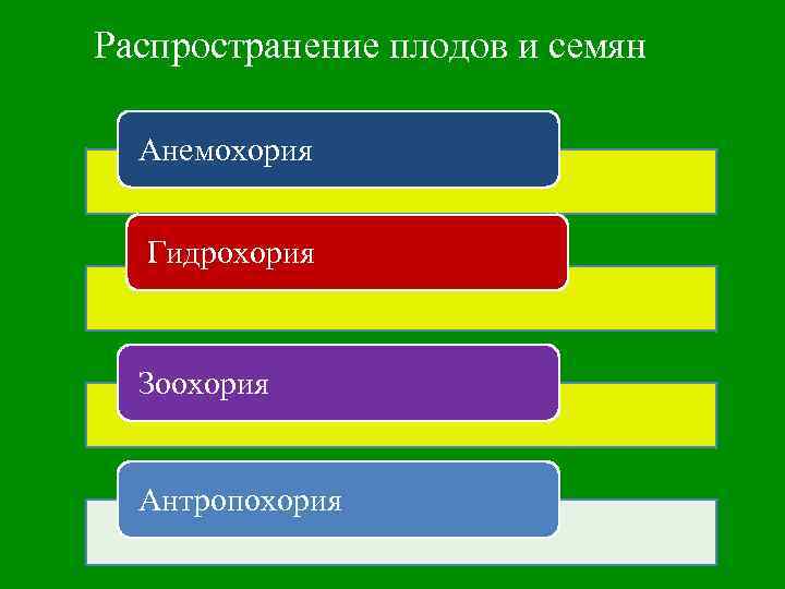 Распространение плодов и семян Анемохория Гидрохория Зоохория Антропохория 