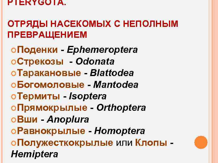 PTERYGOTA. ОТРЯДЫ НАСЕКОМЫХ С НЕПОЛНЫМ ПРЕВРАЩЕНИЕМ Поденки - Ephemeroptera Стрекозы - Odonata Таракановые -