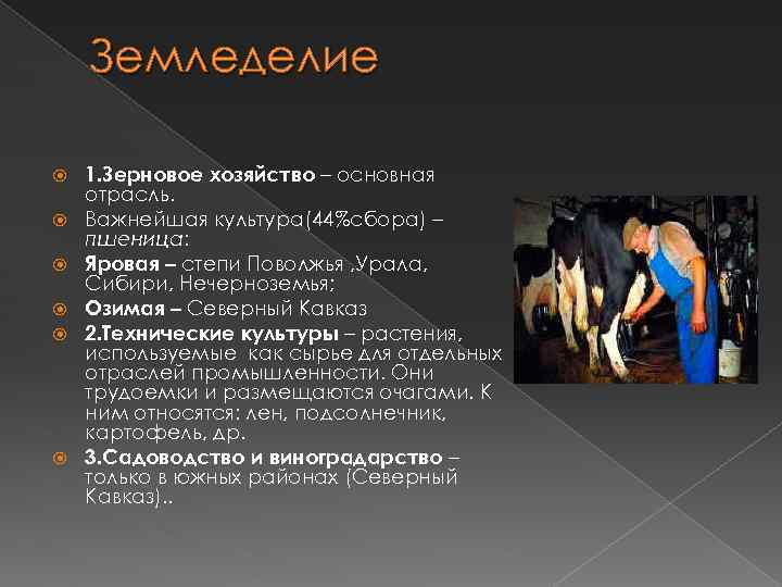 Земледелие 1. Зерновое хозяйство – основная отрасль. Важнейшая культура(44%сбора) – пшеница: Яровая – степи