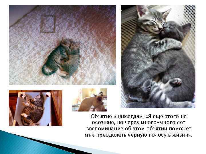 Объятие «навсегда» . «Я еще этого не осознаю, но через много-много лет воспоминание об