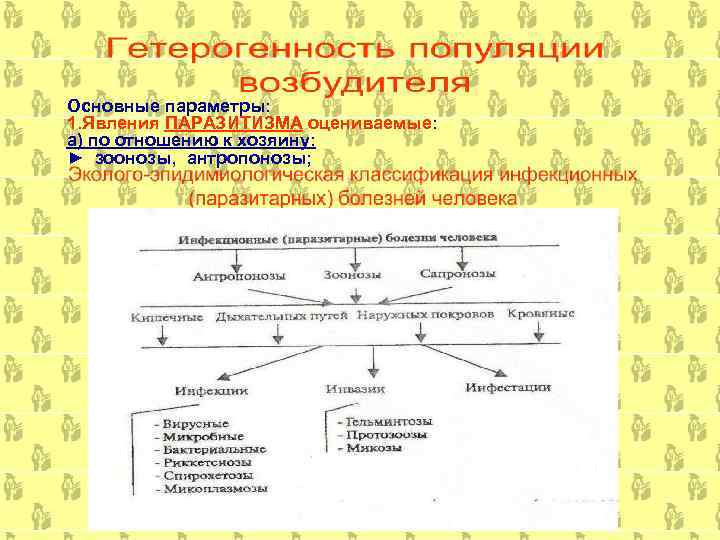 Основные параметры: 1. Явления ПАРАЗИТИЗМА оцениваемые: а) по отношению к хозяину: ► зоонозы, антропонозы;