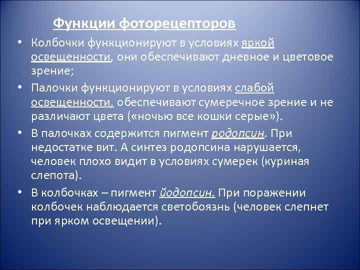Функции фоторецепторов • Колбочки функционируют в условиях яркой освещенности, они обеспечивают дневное и цветовое