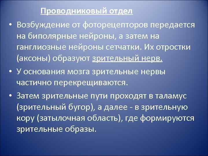 Проводниковый отдел • Возбуждение от фоторецепторов передается на биполярные нейроны, а затем на ганглиозные
