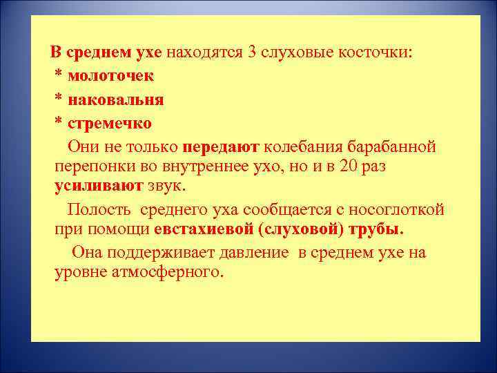 В среднем ухе находятся 3 слуховые косточки: * молоточек * наковальня * стремечко Они