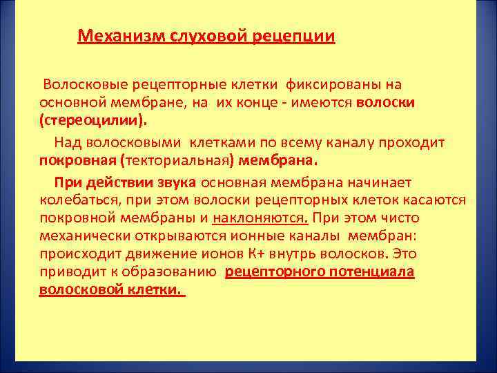 Механизм слуховой рецепции Волосковые рецепторные клетки фиксированы на основной мембране, на их конце -