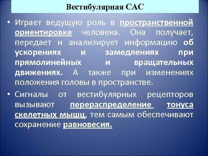 Вестибулярная САС • Играет ведущую роль в пространственной ориентировке человека. Она получает, передает и