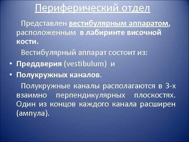 Периферический отдел Представлен вестибулярным аппаратом, расположенным в лабиринте височной кости. Вестибулярный аппарат состоит из:
