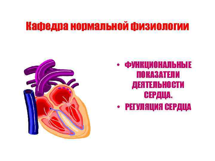 Кафедра нормальной физиологии • ФУНКЦИОНАЛЬНЫЕ ПОКАЗАТЕЛИ ДЕЯТЕЛЬНОСТИ СЕРДЦА. • РЕГУЛЯЦИЯ СЕРДЦА 