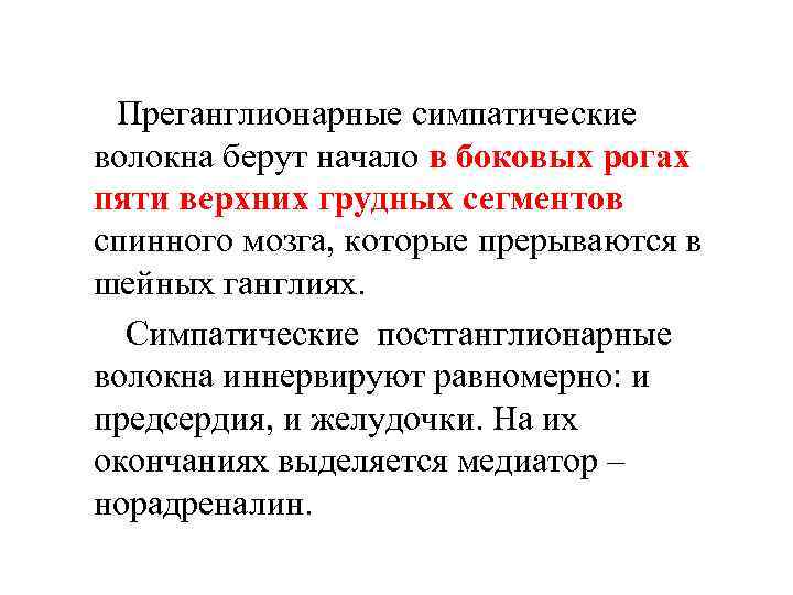 Преганглионарные симпатические волокна берут начало в боковых рогах пяти верхних грудных сегментов спинного мозга,