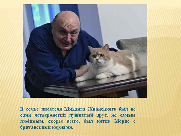 В семье писателя Михаила Жванецкого был не один четвероногий пушистый друг, но самым любимым,