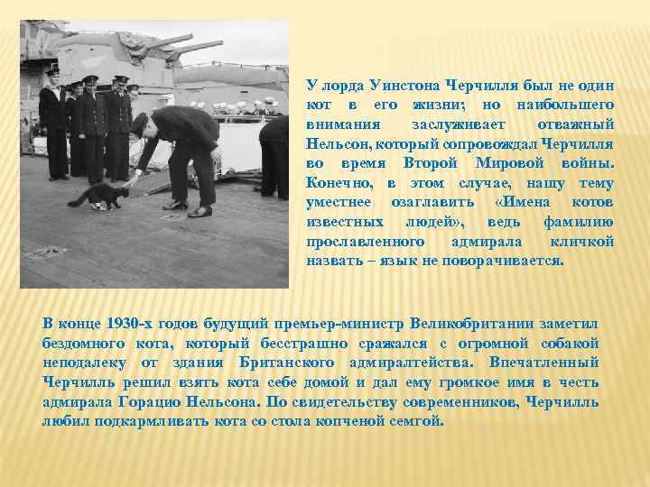 У лорда Уинстона Черчилля был не один кот в его жизни; но наибольшего внимания