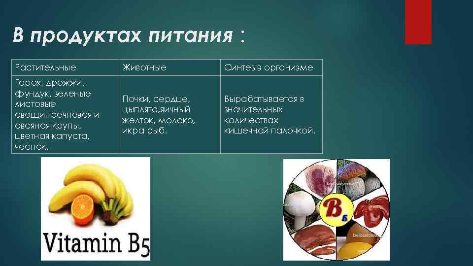 В продуктах питания : Растительные Животные Синтез в организме Горох, дрожжи, фундук, зеленые листовые