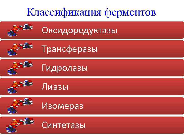 Классификация ферментов Оксидоредуктазы Трансферазы Гидролазы Лиазы Изомераз Синтетазы 