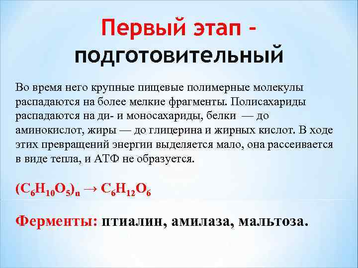 Первый этап подготовительный Во время него крупные пищевые полимерные молекулы распадаются на более мелкие