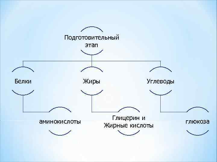 Аминокислоты белки углеводы 9 класс презентация