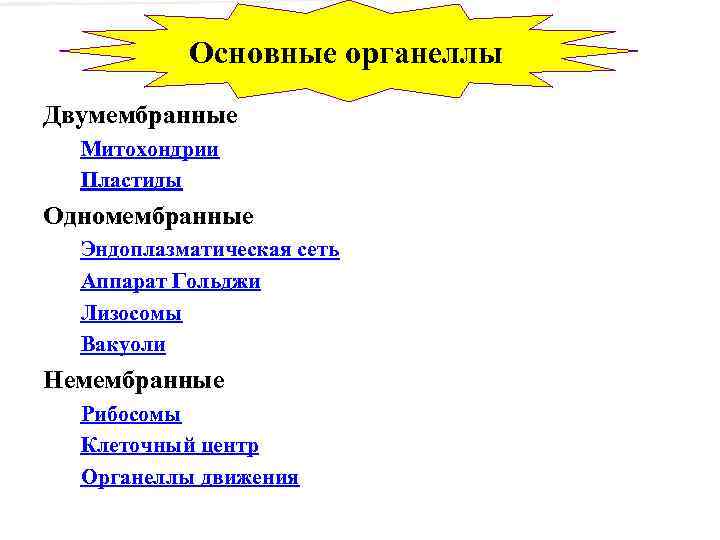 Основные органеллы Двумембранные Митохондрии Пластиды Одномембранные Эндоплазматическая сеть Аппарат Гольджи Лизосомы Вакуоли Немембранные Рибосомы