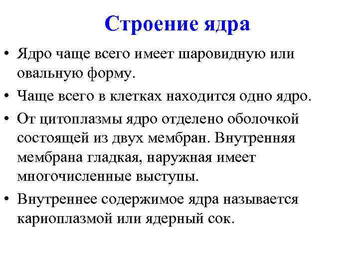 Строение ядра • Ядро чаще всего имеет шаровидную или овальную форму. • Чаще всего