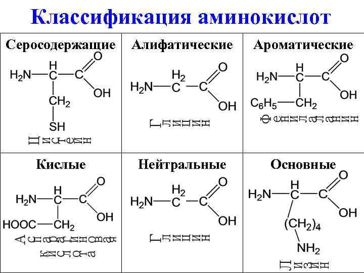 Строение аминокислоты схема