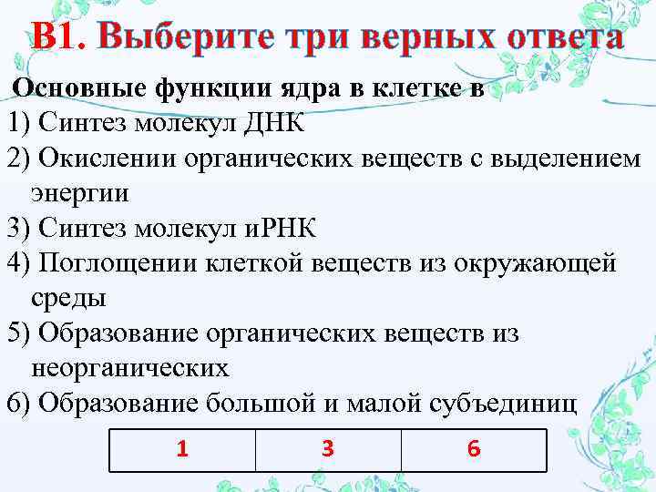 Отметьте три верных варианта ответа. Основные функции ядра в клетке состоят в. Основная функция ядра в клетке. Основные функции ядра. Основные функции ядра в клетке состоят в синтезе.