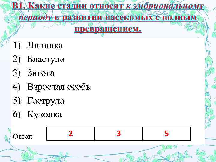 В 1. Какие стадии относят к эмбриональному периоду в развитии насекомых с полным превращением.